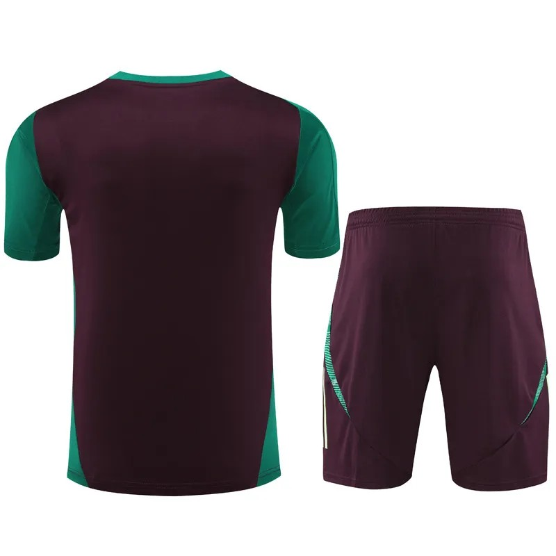 Mexico 2024-2025 trainings set