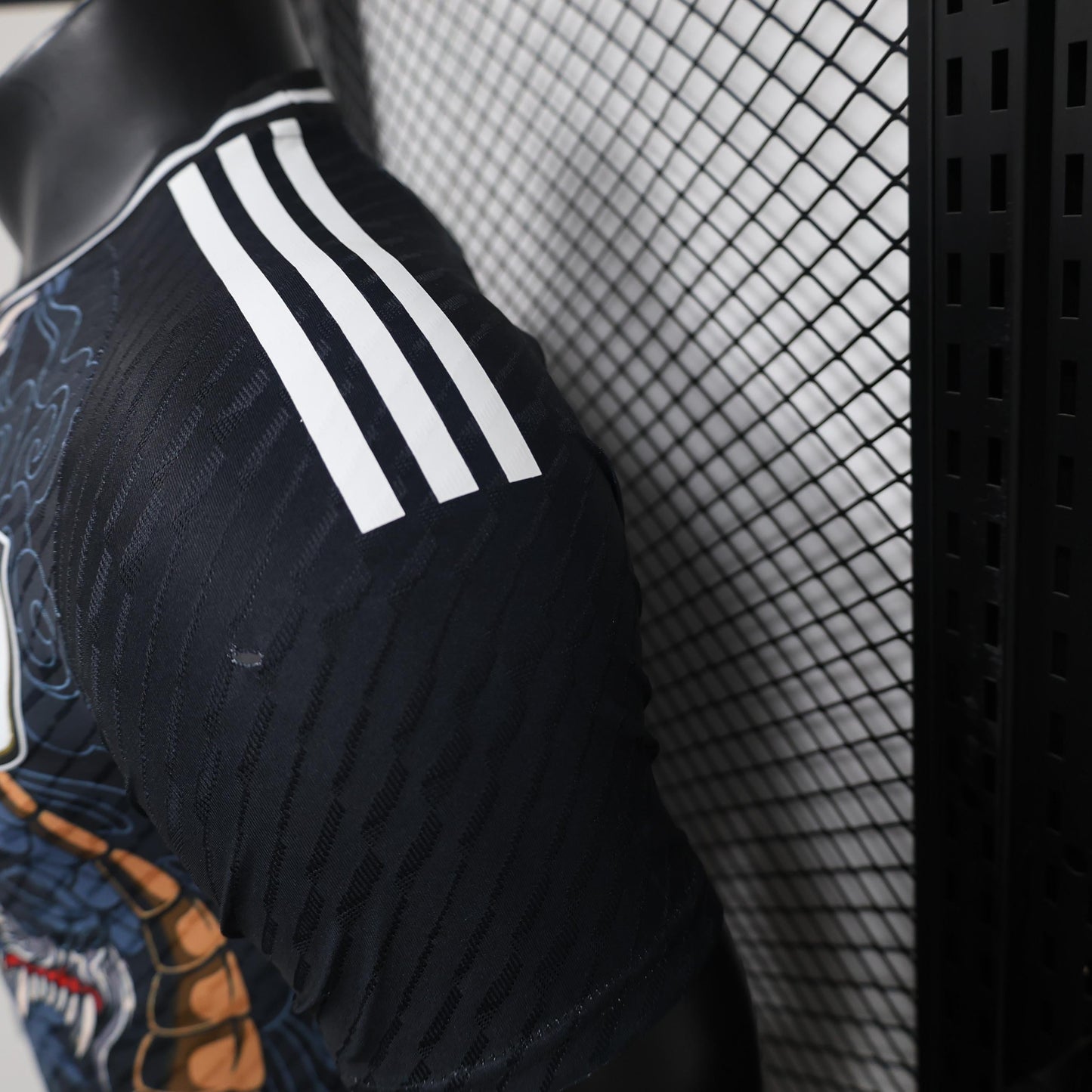 Japan "Ryu no Densetsu" Special Kit